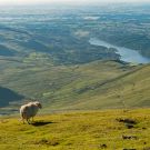 Llanberis et Penrhyn