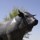 L’AUBRAC, NATURE ET TRADITION
