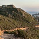 Pointe de Parata et biodiversit&eacute;