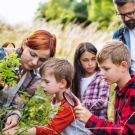 Devenez des explorateurs en herbes