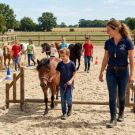 A l'&eacute;cole des poneys