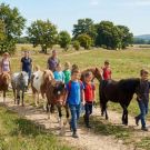 Journ&eacute;e autour du poney