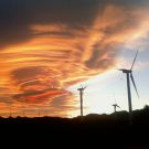 ENVIRONNEMENT : MIELLERIE, PARC EOLIEN, MUSEE A CIEL OUVERT