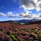 WICKLOW MOUNTAINS
