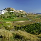 VALLEE TROPICALE ET ROUTE DU SUCRE