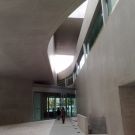 LE BIOPARC ET LE MUSEE MAXXI