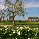 LE PARC DES AQUEDUCS ET LES MUSEES DU CAPITOLE